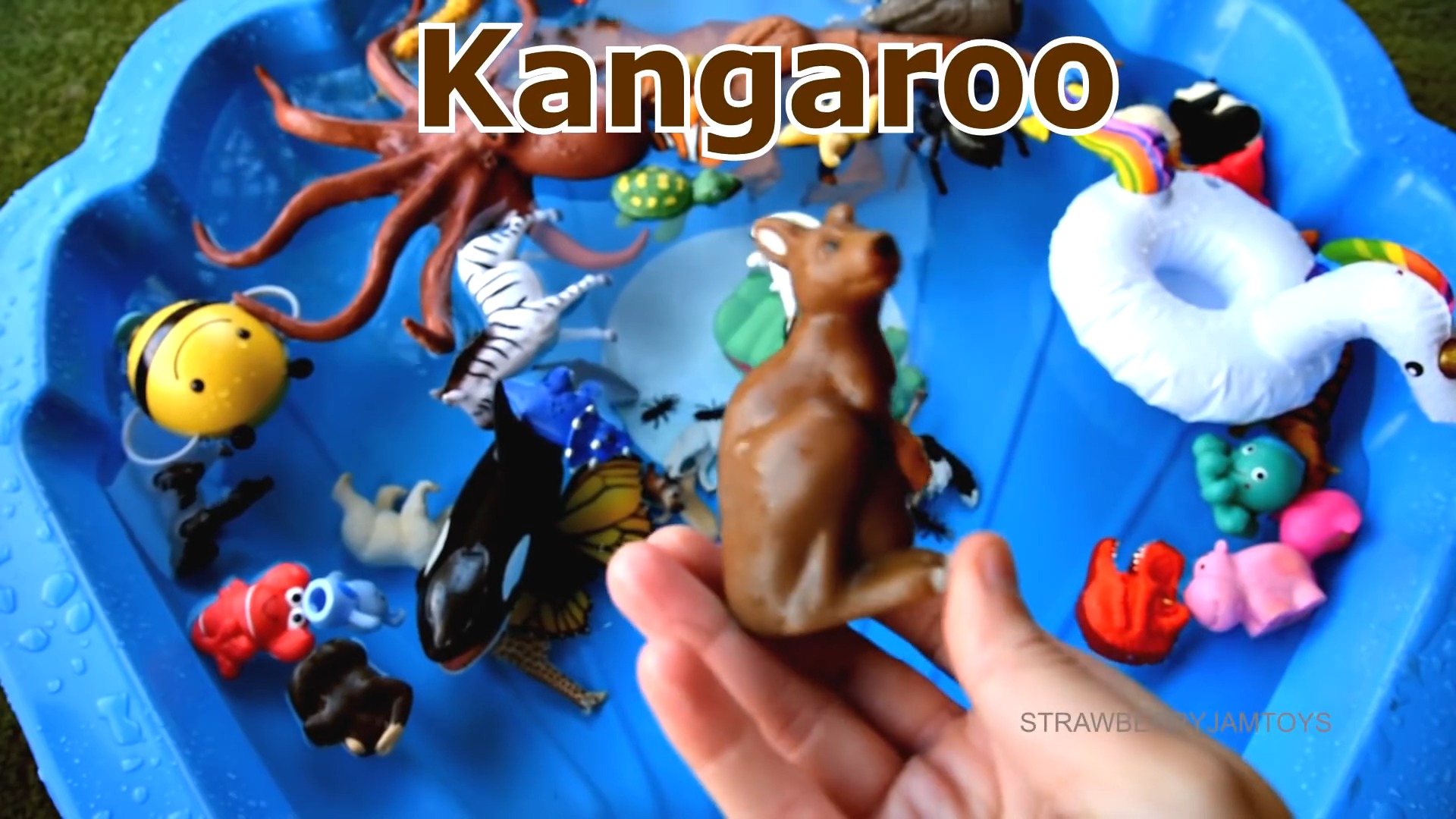 strawberry-jam-toys