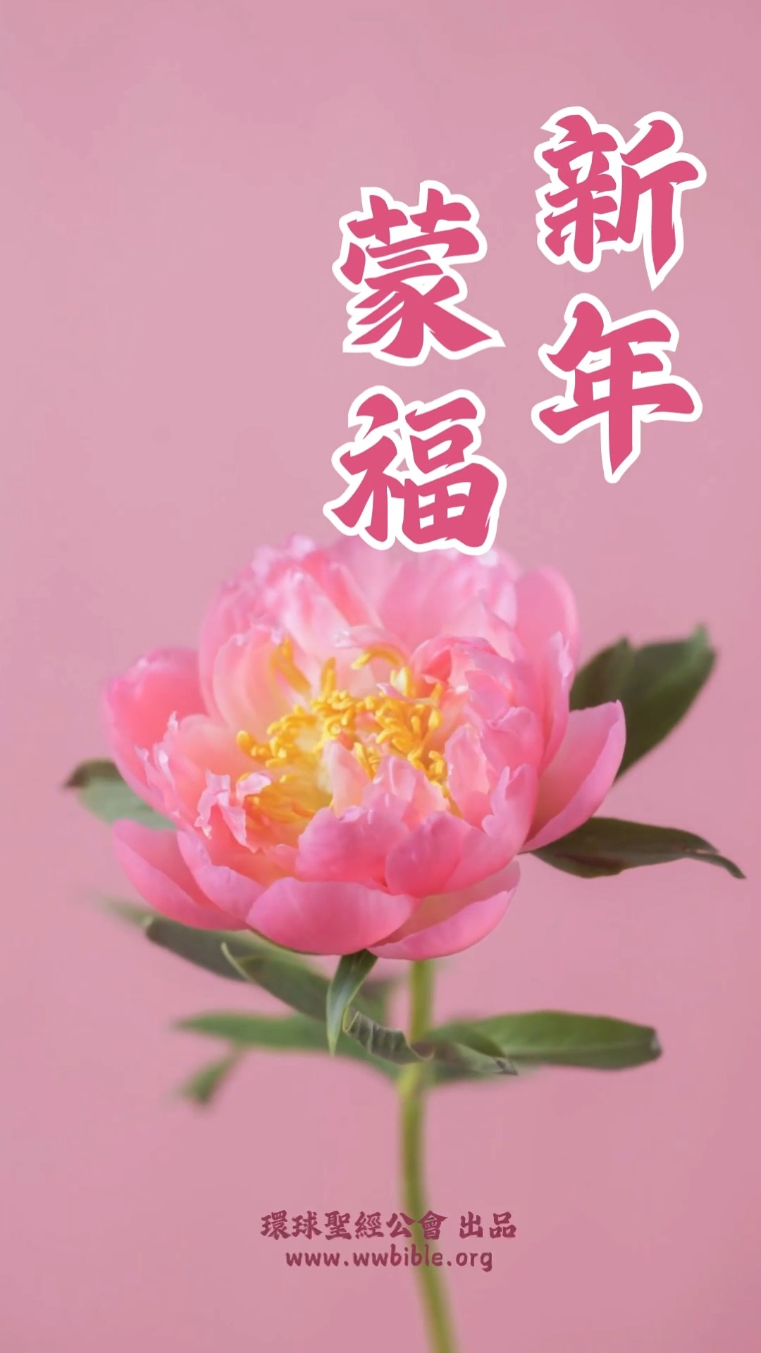 馬太福音金句 初二🎁🎁（國語版‧記得開 📣）#憐憫得福氣 #環球聖經譯本 得福氣可要分享出去哦！新年揮春一般會想到自己得什麼福氣，少說能給什麼 ...
