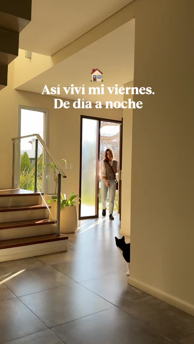 Cómo reproducir la monstera. Vos también podes darle vida a tu hogar ...