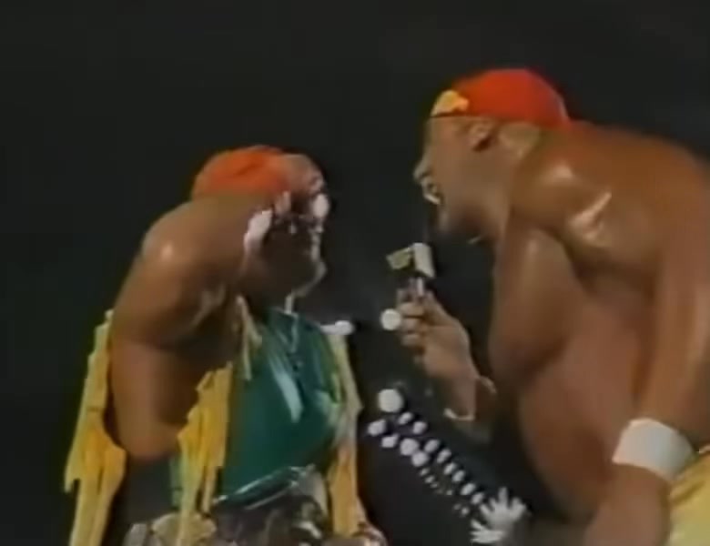 On July 30, 1988 WWF Superstars of Wrestling aired from the