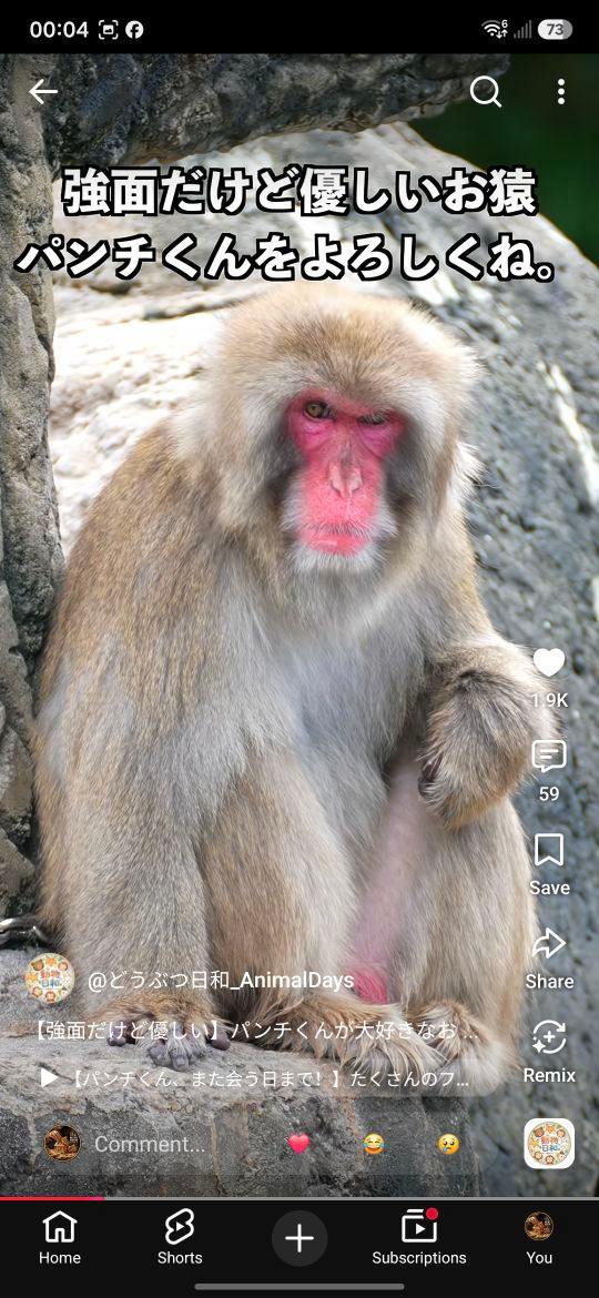 Punch the monkey's bond with Grandpa Sode-san