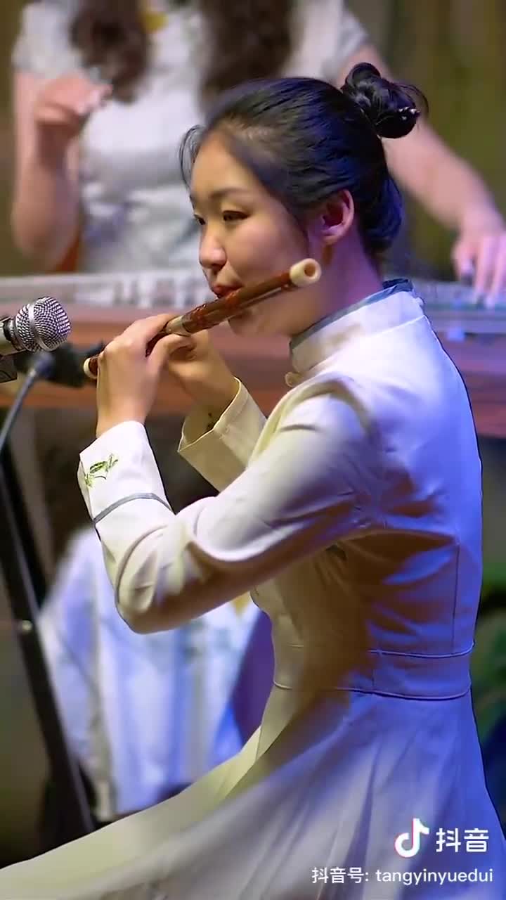 Flûte Traditionnelle Chinoise Dizi En Clé D - Instrument Musique Avec Sac - Pour Débutants Et Amateurs