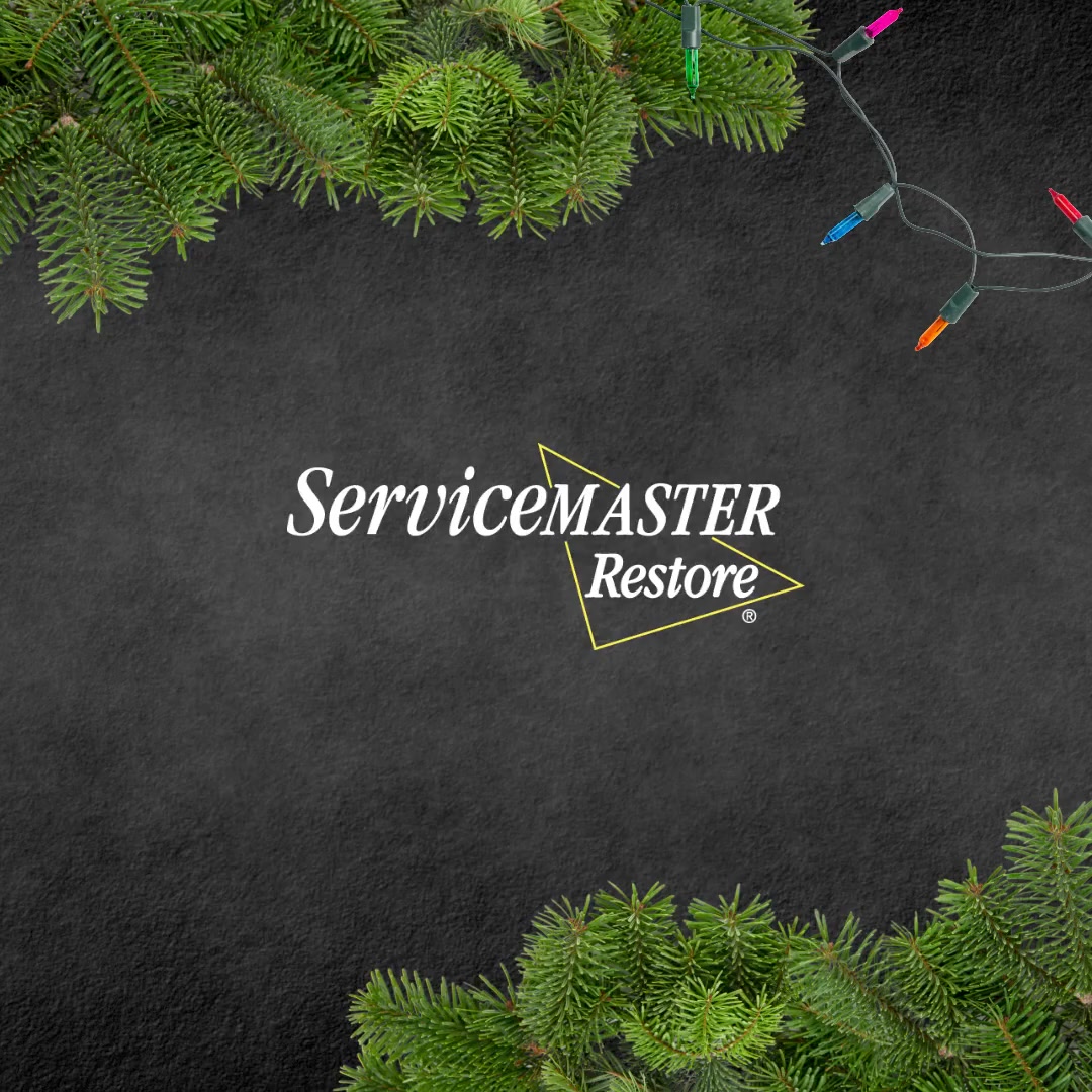 ServiceMaster CDR - North Houston | Magnolia TX