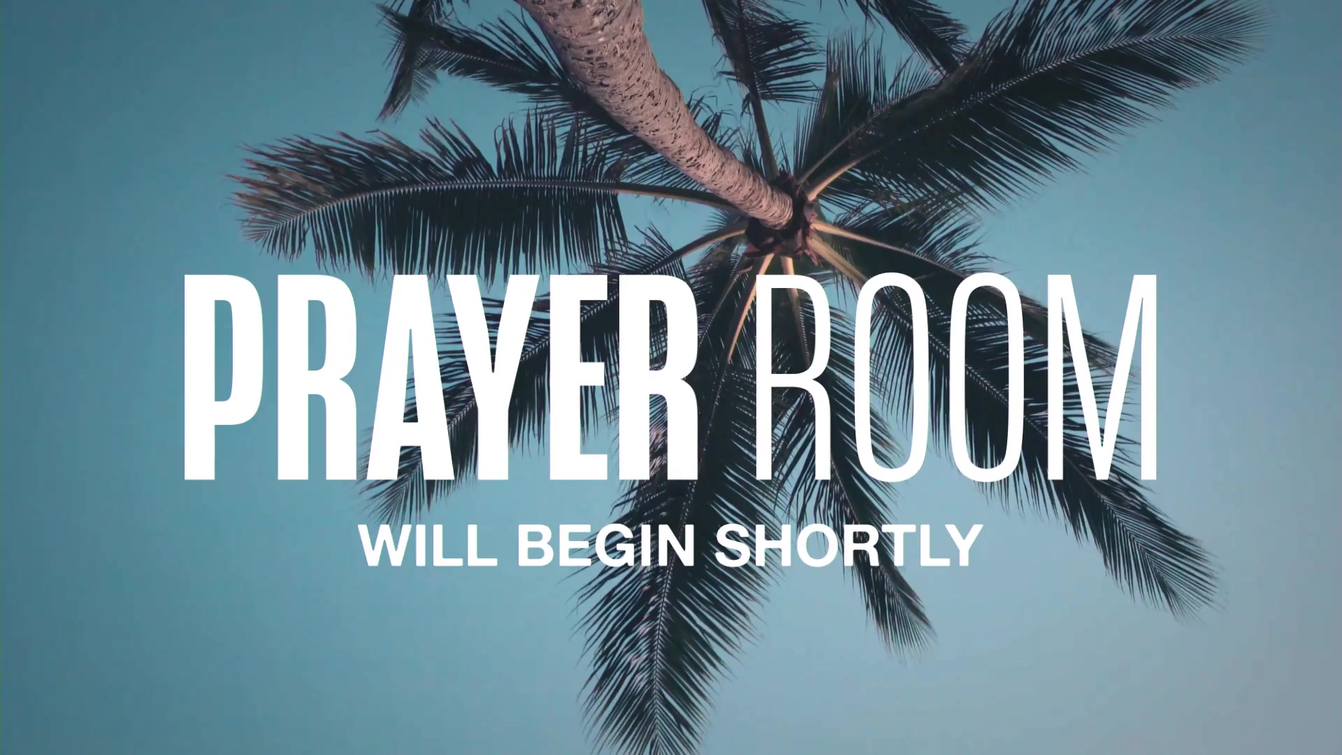 New Life Church | Corpus Christi TX