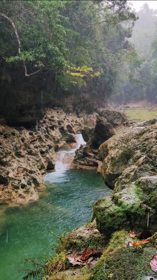 𝐃𝐀𝐍𝐈𝐂𝐎𝐏 𝐓𝐈𝐂𝐔𝐆𝐀𝐍 𝐒𝐏𝐑𝐈𝐍𝐆 💦🌴 Hidden in the peaceful town of Loon, Danicop ...