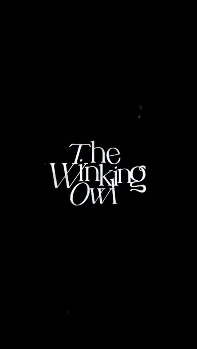 The Winking Owl ウィンキングオウル サイン ＋ オマケ The Winking Owl (@thewinkingowl) • Facebook