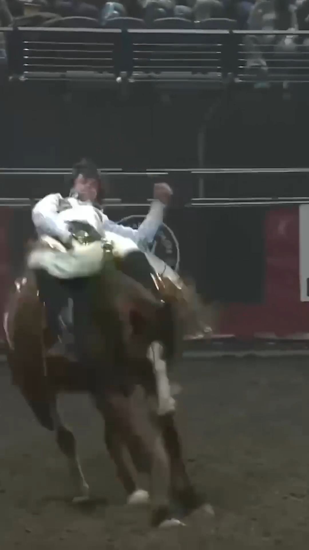 Big ride from Cole Reiner! 87.5-points aboard Summit Pro Rodeo's Game ...