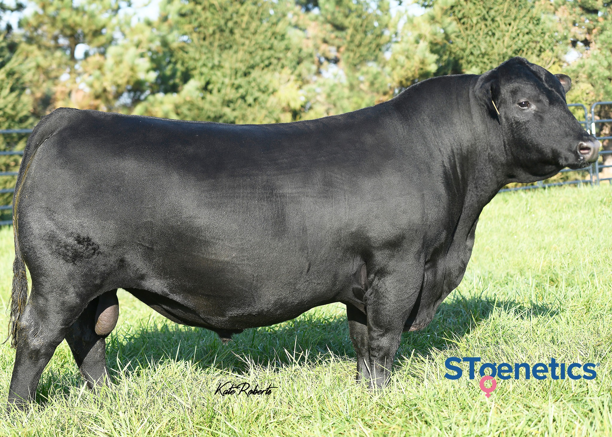 Ultra-high fertility and impressive genetic script! EXPONENTIAL is a ...