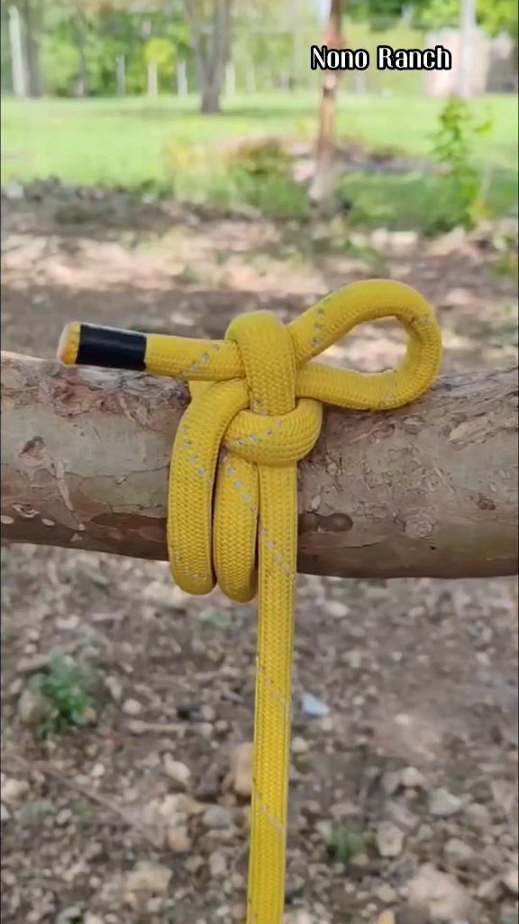 Hondilla que debes aprender 😉💯 #travel #nature | Nono Ranch | Facebook