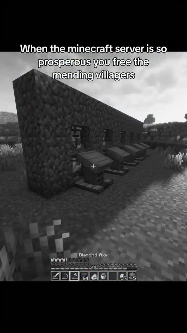Minecraft server was a success #reels #minecraft #survival #gaming ...
