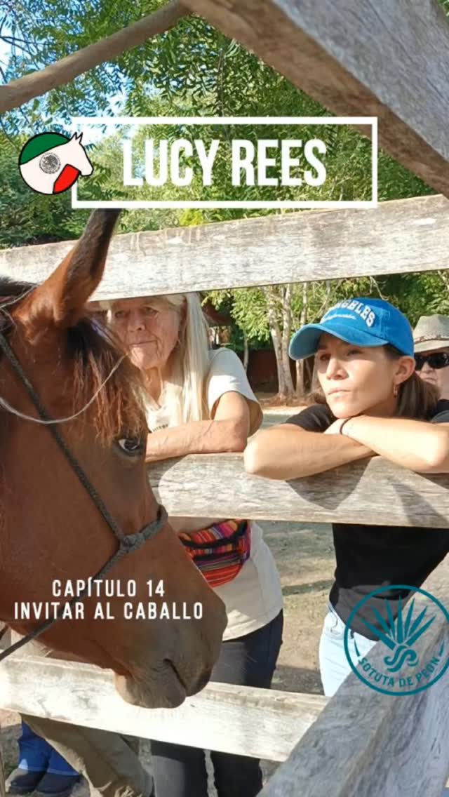 Capítulo 14 – Invitar al caballo. En este nuevo capítulo del video ...