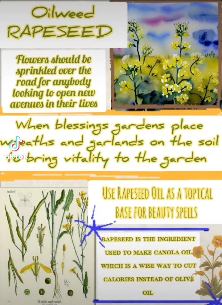ROOTWORKERS ROUND THE TABLE: Papa O's Week #rootworker # ...