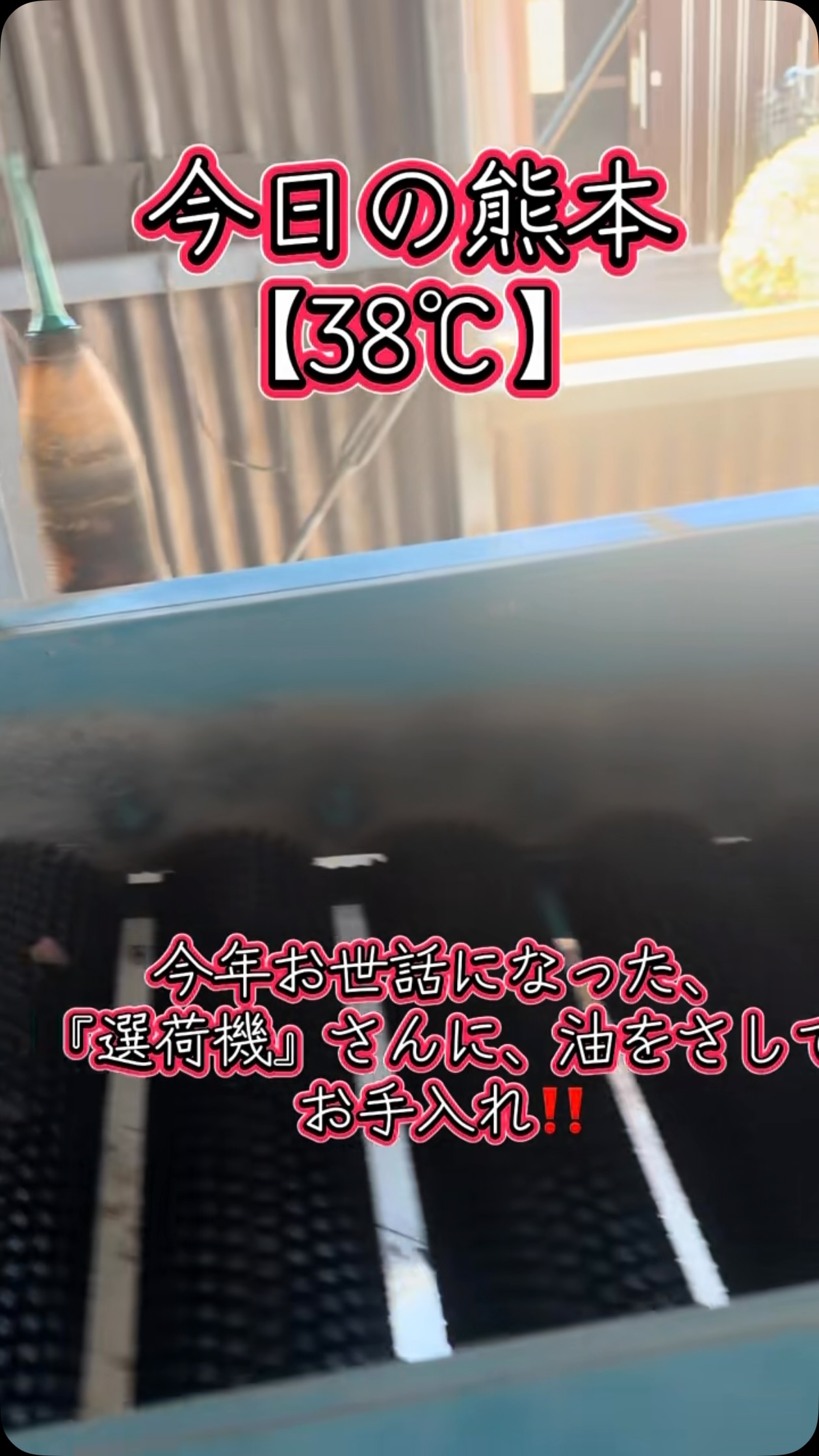 株式会社 子出藤農園 | Kumamoto-shi Kumamoto
