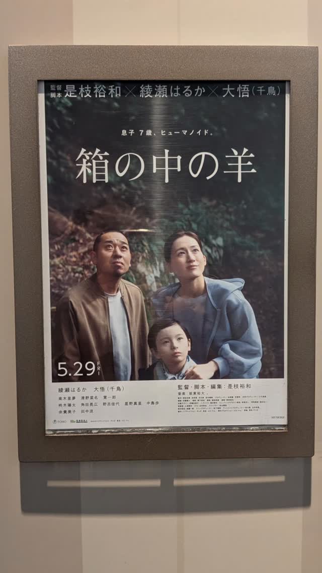 映画 一触即発 Touch and Go ロビーカード12枚セット 当時物 香港 映画