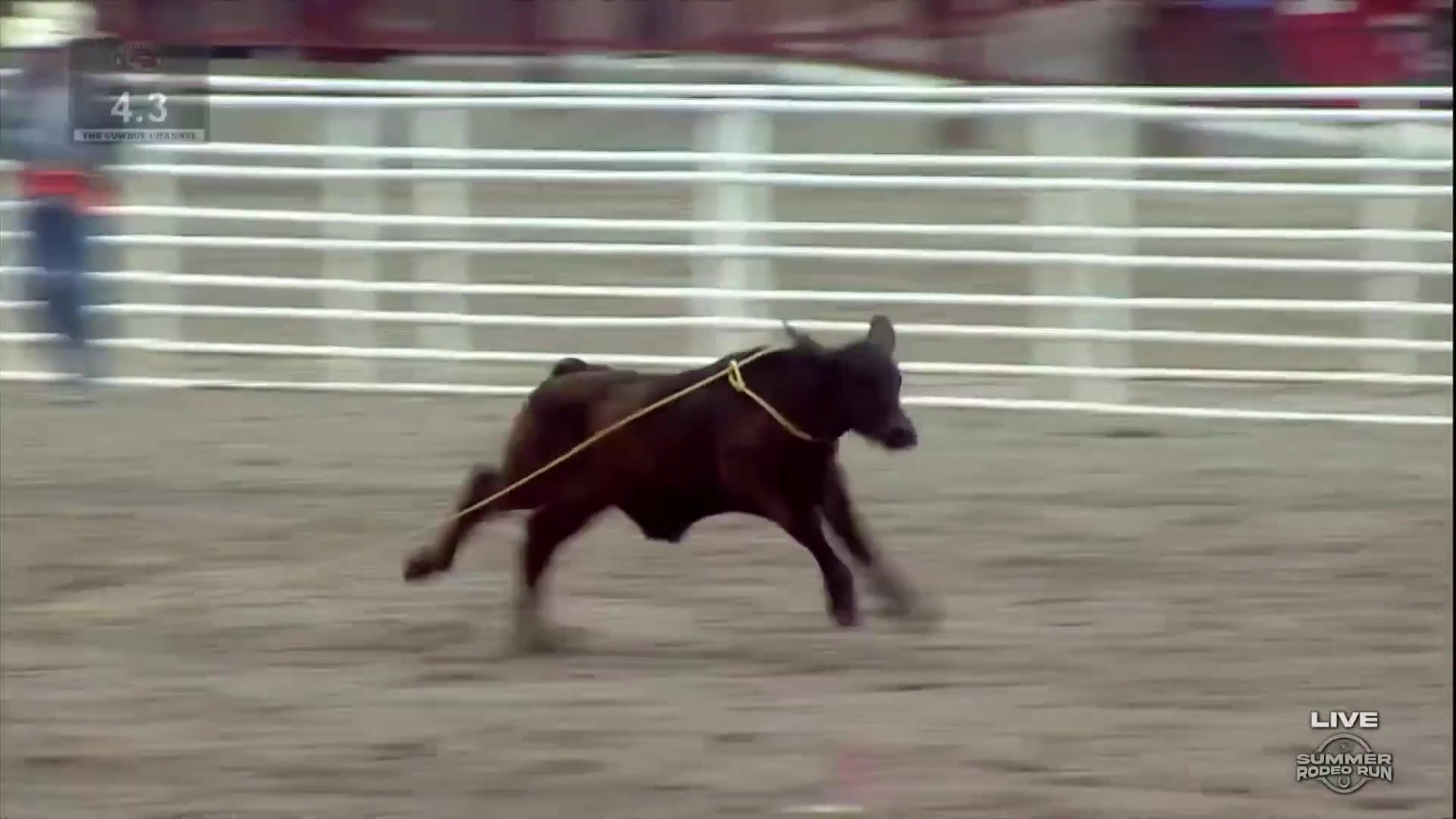 A blazing 4.3 for the No. 14-ranked breakaway roper in the World lands ...