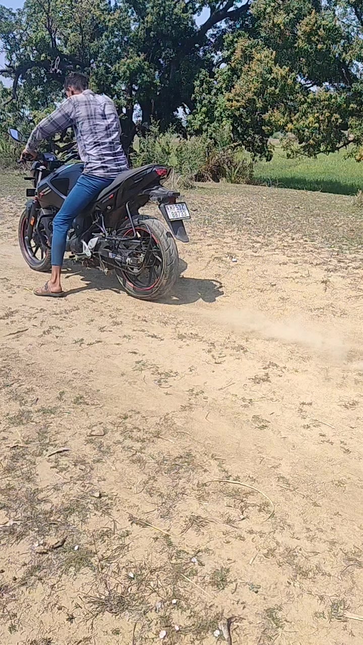 What's the most popular motorcycle in the group?