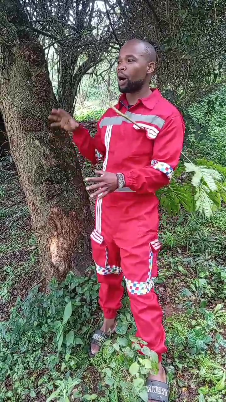 Umkhamba ledlozi or Isthunywa | Sivusa Ikhaya Ngekhubalo | Facebook