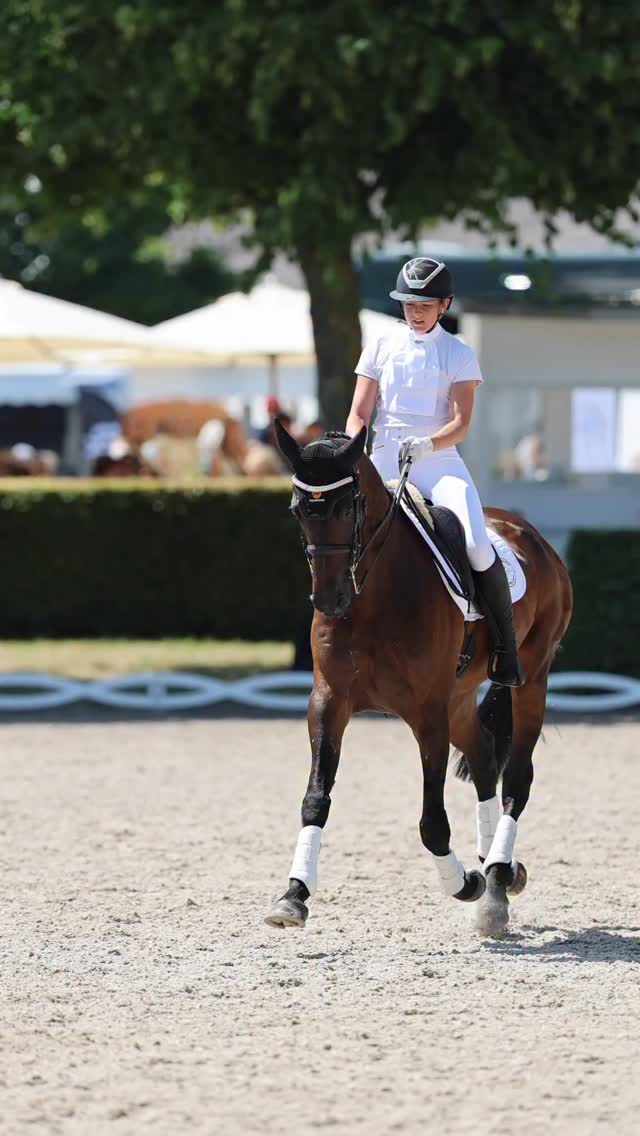 Dancing Charles 👑🩰 @merlinvetgroup @sussexassetfinance @equineamerica ...