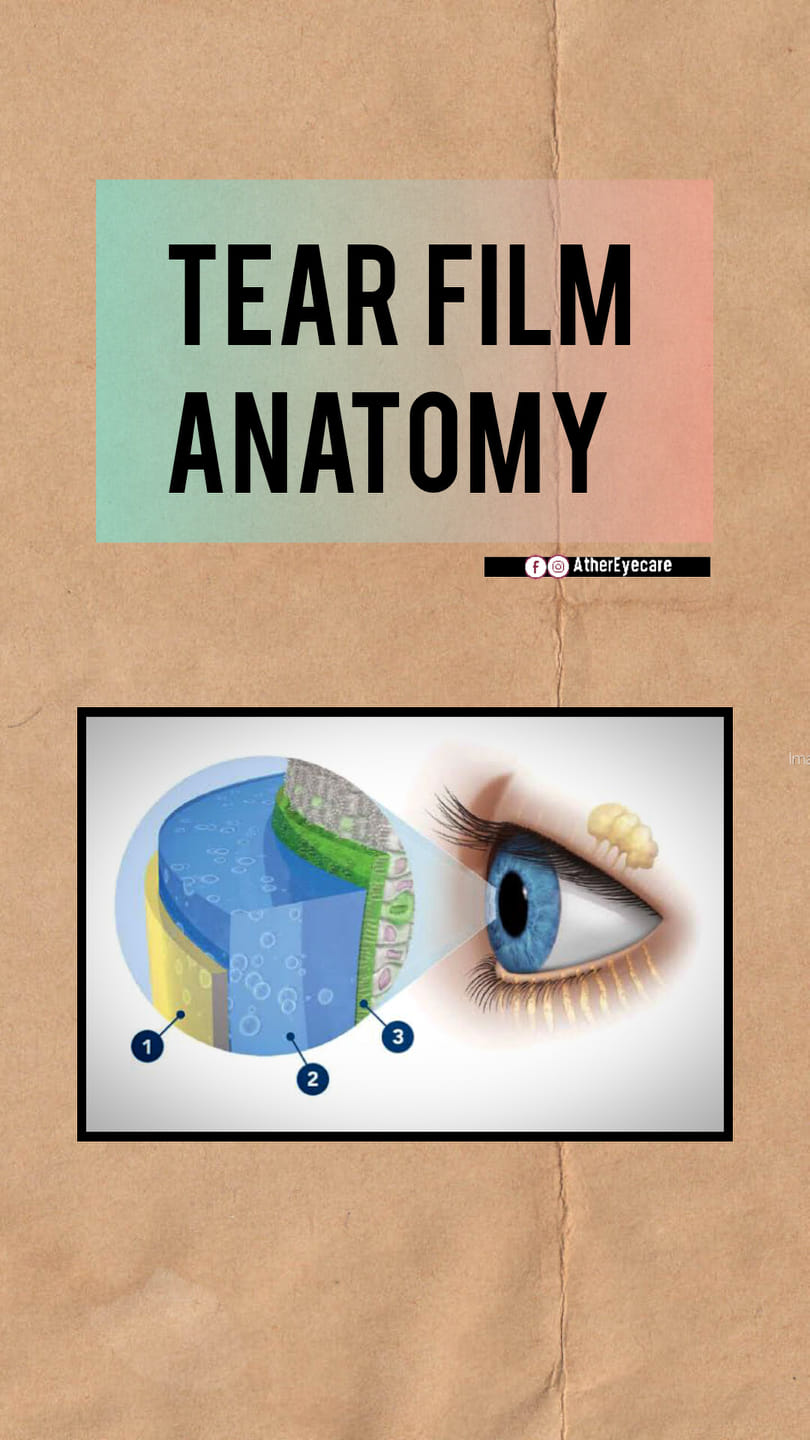 Anatomy of Tear Film #anatomy #eyehealth #OptometryStudent #learning # ...