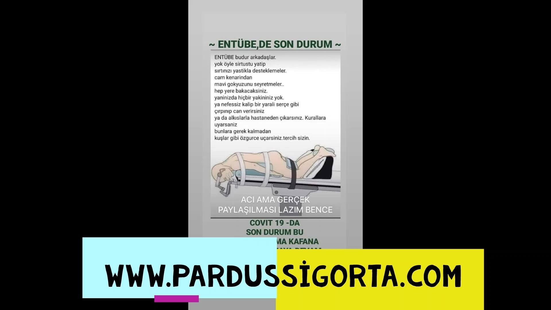 Pardus - Hemşireler Günü Hemşirelik; insan sevgisiyle dolu, şefkatle, 