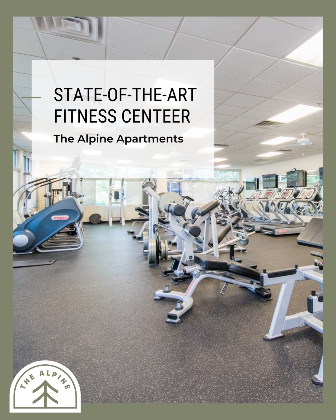 The Alpine Fort Collins | Fort Collins CO