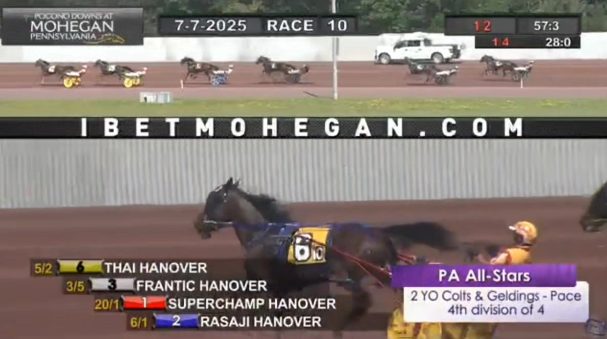 Frantic Hanover [Stay Hungry-Francessa] Pennsylvania All-Stars 2YO Colt ...