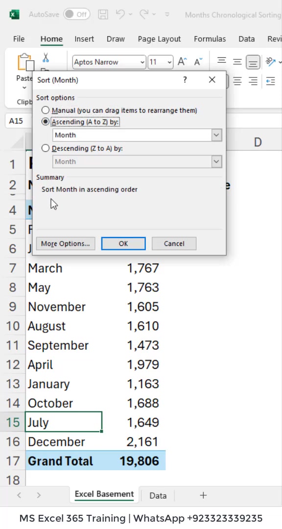 Pivot Table | Months Chronological Sorting Issue #Excel | Excel ...