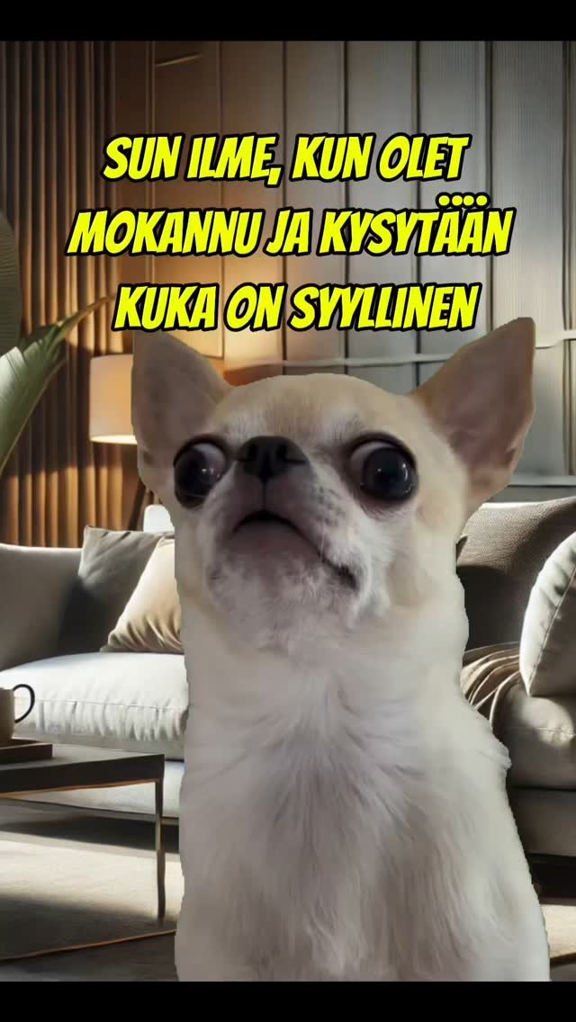 moka-fyp-sinulle-tiktoksuomi-suomitiktok-hauska-huumoria