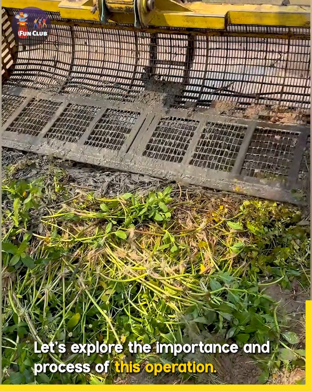 Aquatic Weed Removal: Ecosystem Benefits Explained.😮 # ...