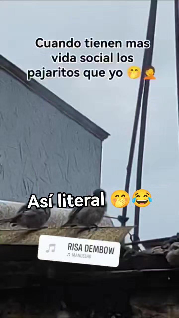 Quién igual 🤭 #humor #humorviral #comedia #comedy #MadresEmprendedoras ...