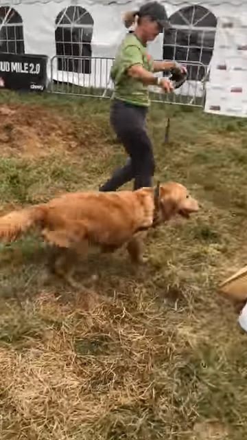 There’s no obstacle too ruff for this pup. 🐾#RuffMudder #ToughMudder ...
