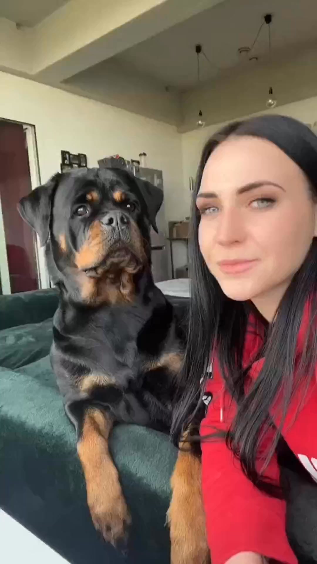 😳🤣🤣🤣🤣 #gangrottie #rottwiler #usa #reelsfbシ #reelsvideo #reelsfypシ ...