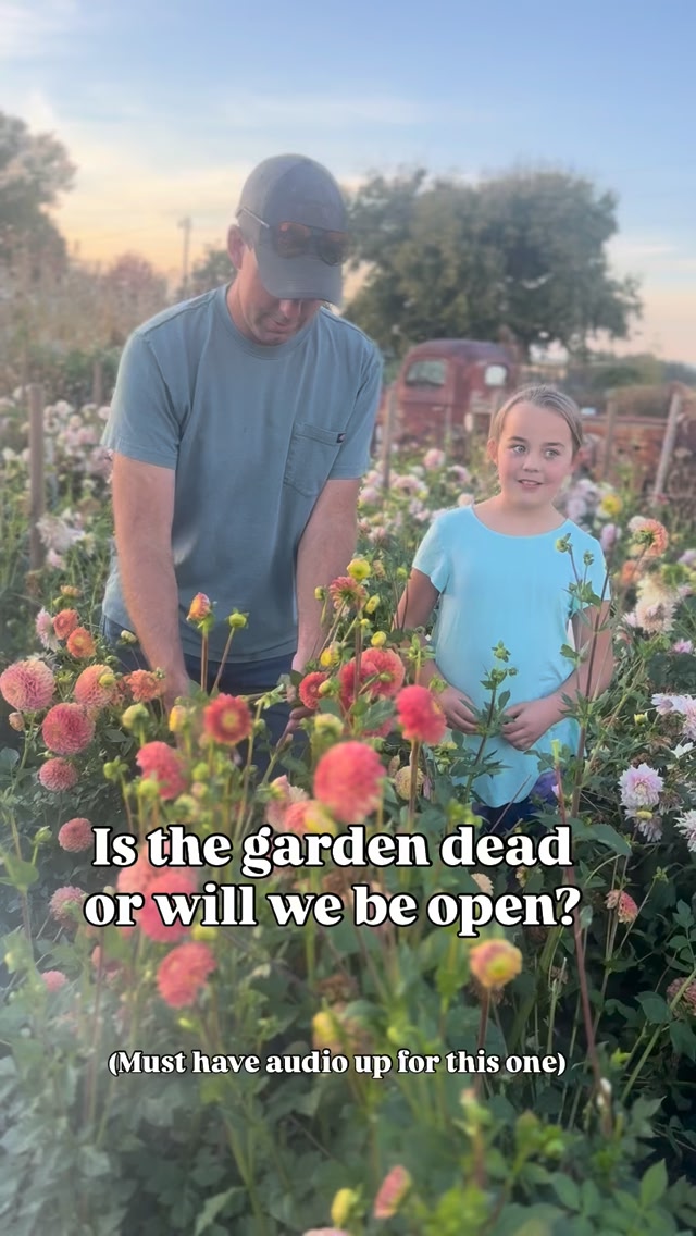 Inconceivable! It’s not all dead. 🤯 not sure if it qualifies as mostly ...