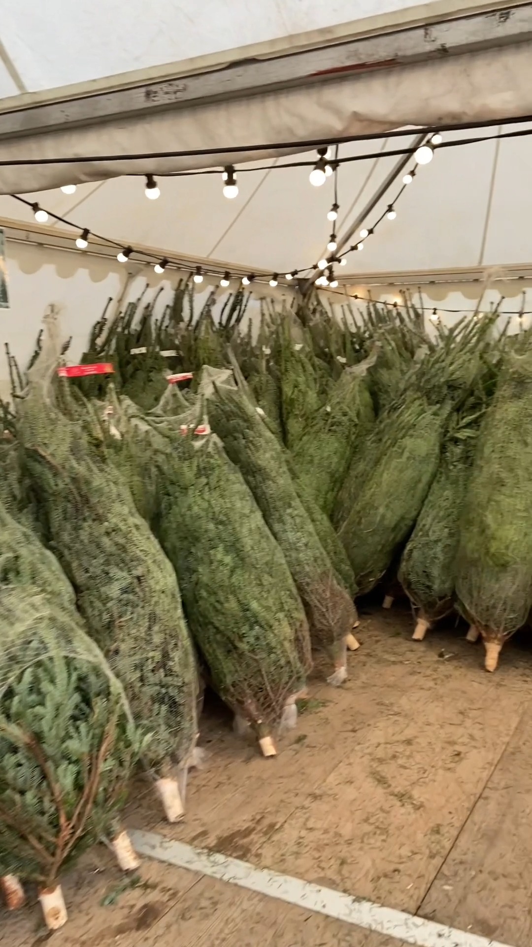 Sitemapcdatahttpsfoowindecoocomsapin Naturel Leclerc 2022null