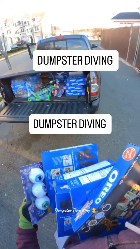 Curated visual reference: Gallery Detail: Dumpster Full Of Dog Toys And Oreos Dumpsterdiving Dog Dogs