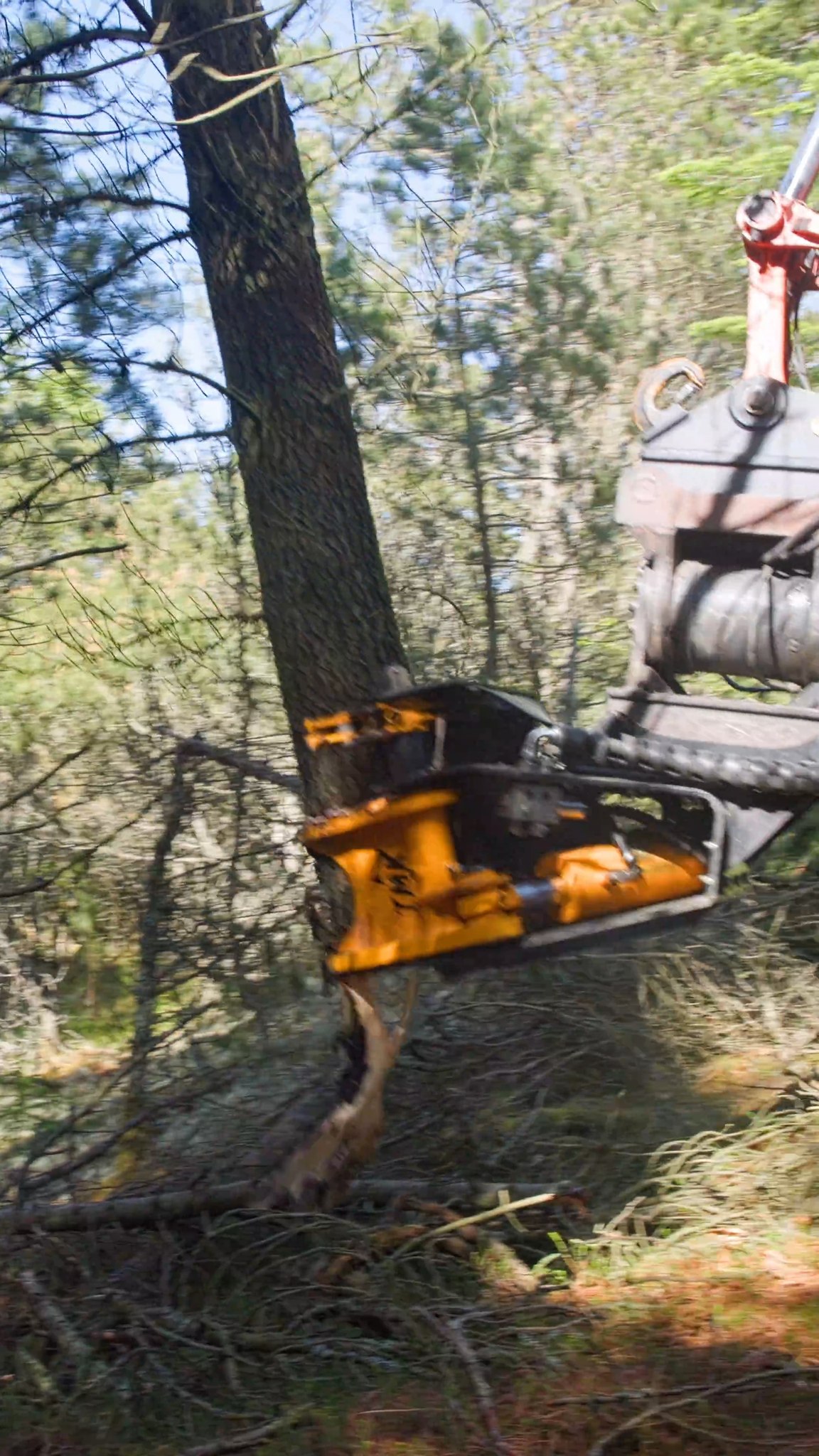 TMK Grapple Saw features a hydraulically controlled tree shear blade ...