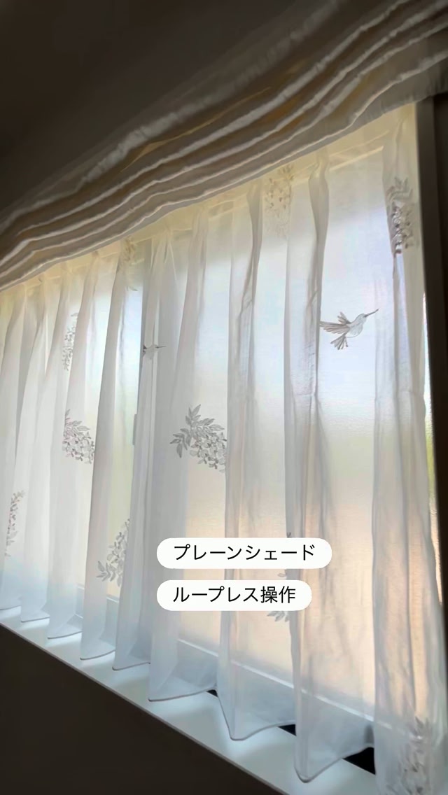 FISBAシアーカーテン 多色ストライプ 直営オンラインショップ