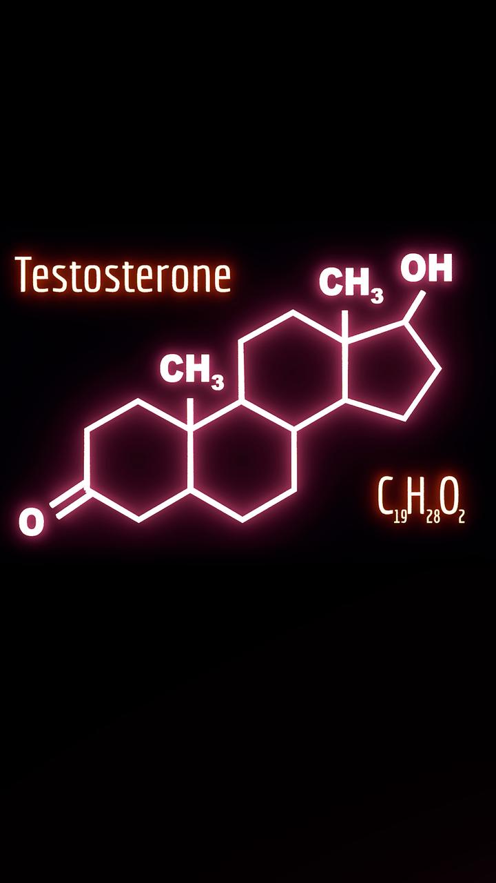 propionyl l carnitine testosterone 