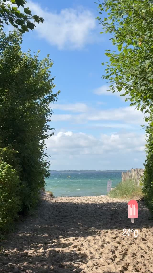 ständer für markise Faltbarer Verkaufsstand mit Allwetter-Markise, perfekt Street Food, Konzessionsverkäufe, Outdoor-Events, Märkte, tragbarer Popup-Ständer für BBC Top Gear Supercars Baby-Alpaka Größe:M (55 - 59cm)