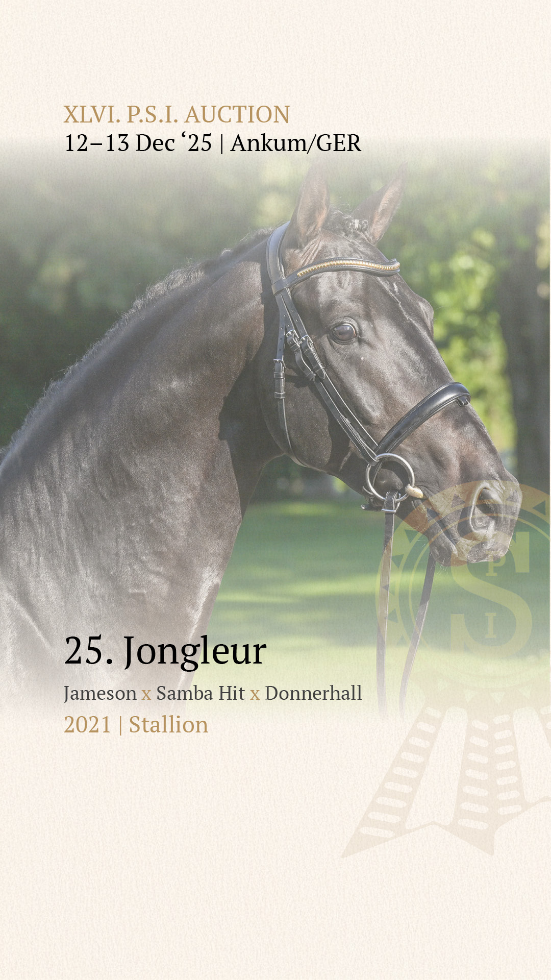 🐴🚀PS Online Auction - Young Jumpers May 2021🚀🐴 Catalogue No 2