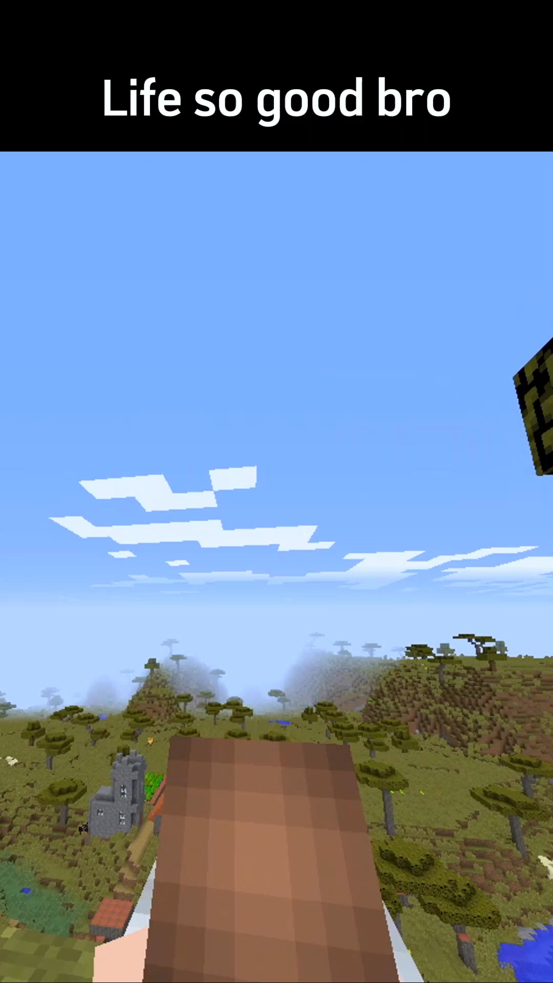 Minecraft jenny mod | Facebook