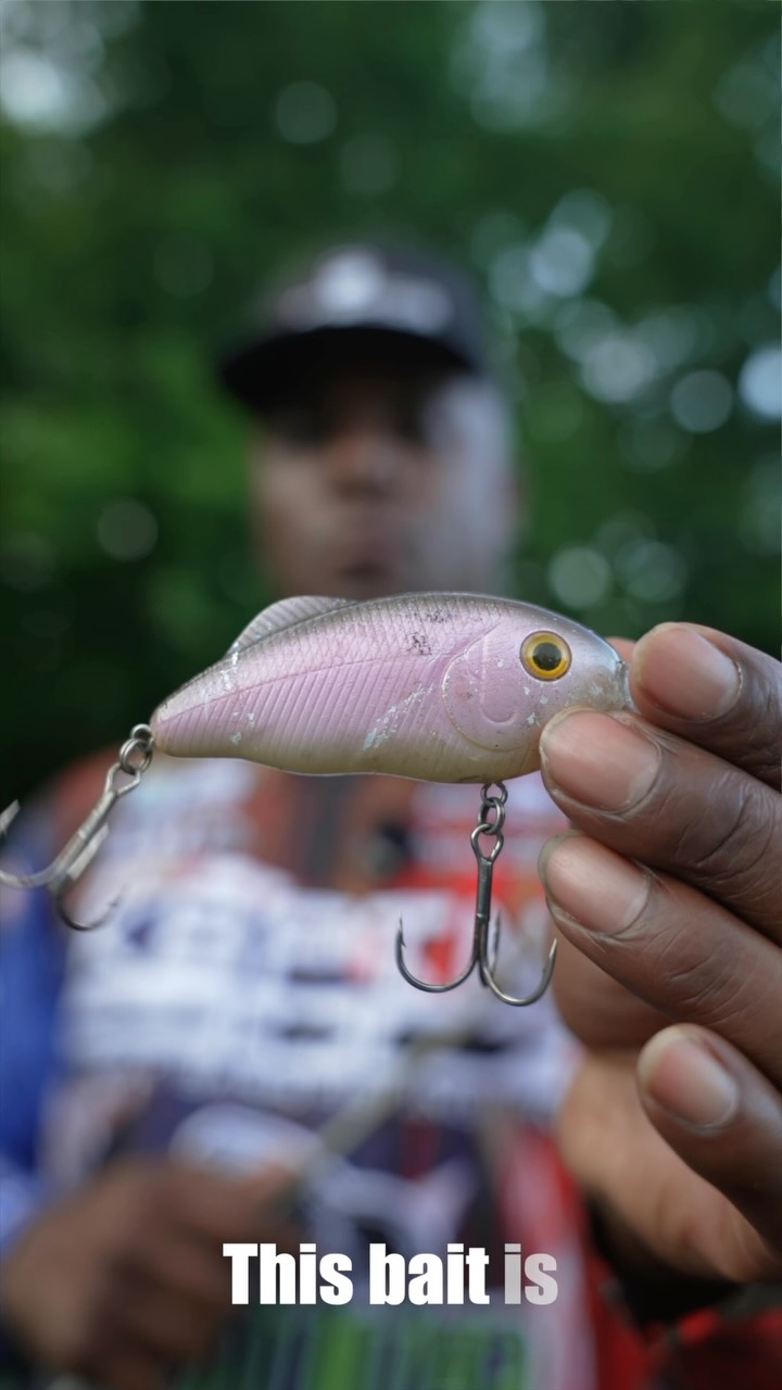 fish on lure hunter The Hunter: A Guide to Finding Fishing Lures: Fisk, Brian: 9798864791929 Books Allowing anglers to target fish in more conditions than ever before Parris Edwards breaks down one