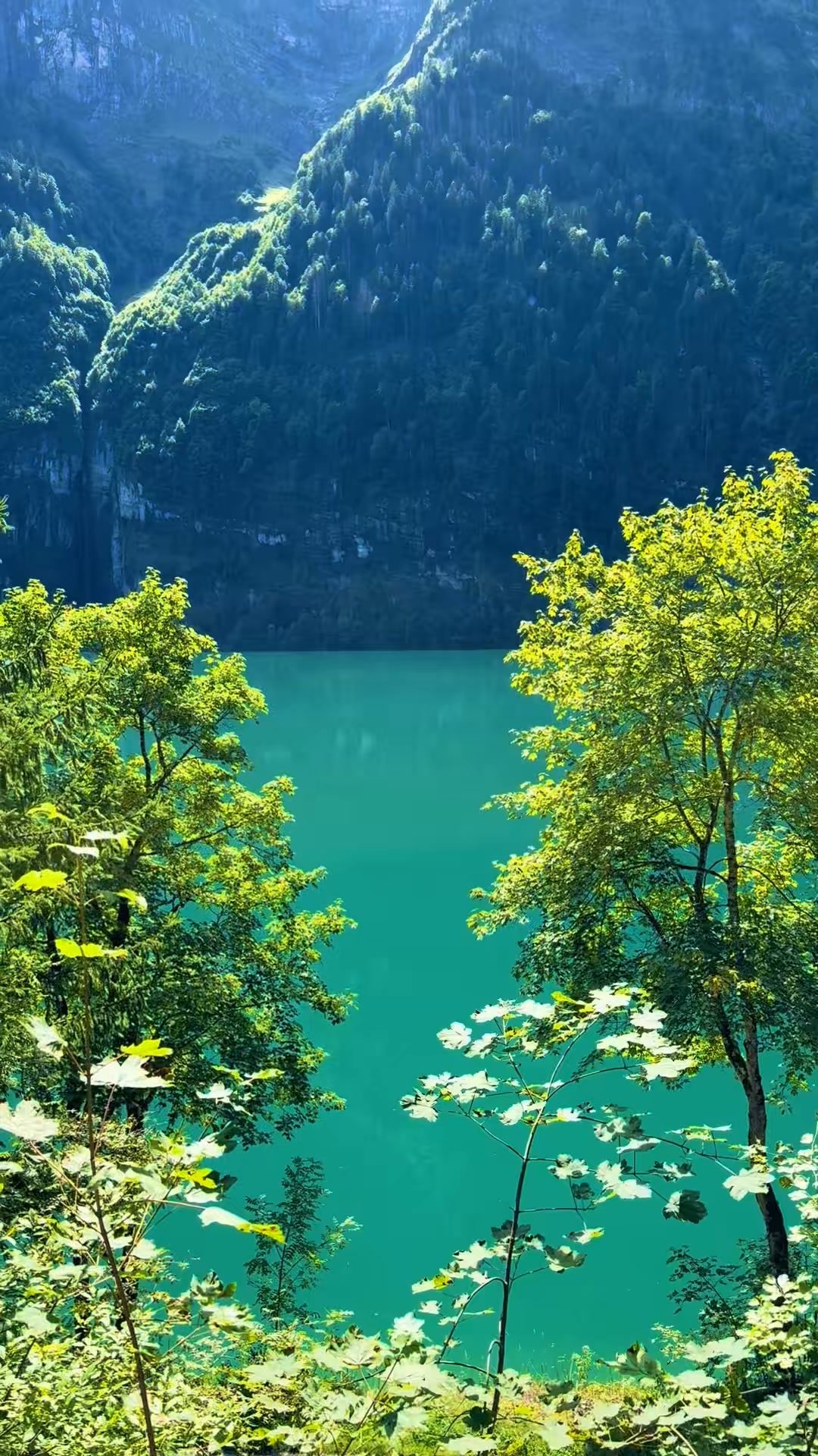 #austria #nature #vinland #mountains #lakes #wanderlust #travelvibes # ...