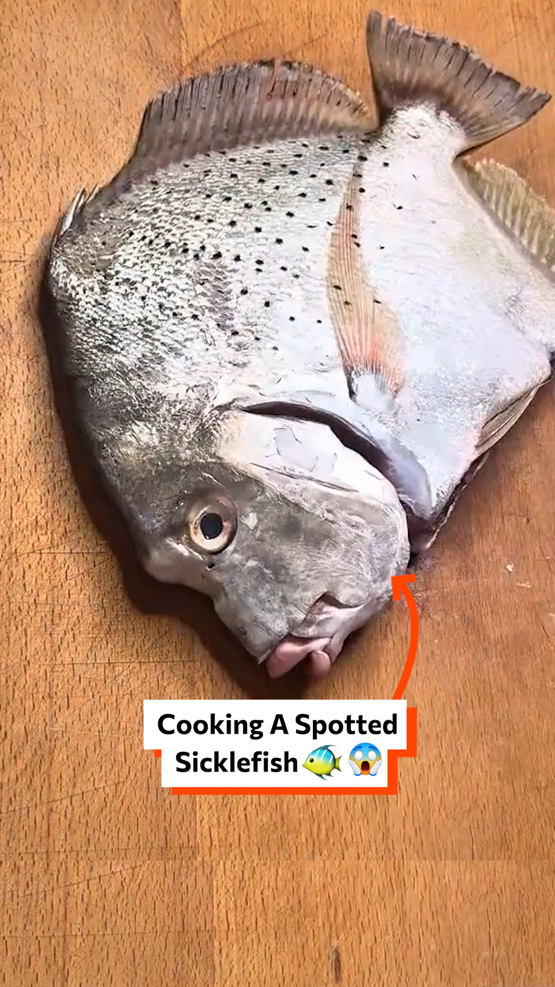 Cooking a spotted Sicklefish 🐟😱 | Twisted | Facebook