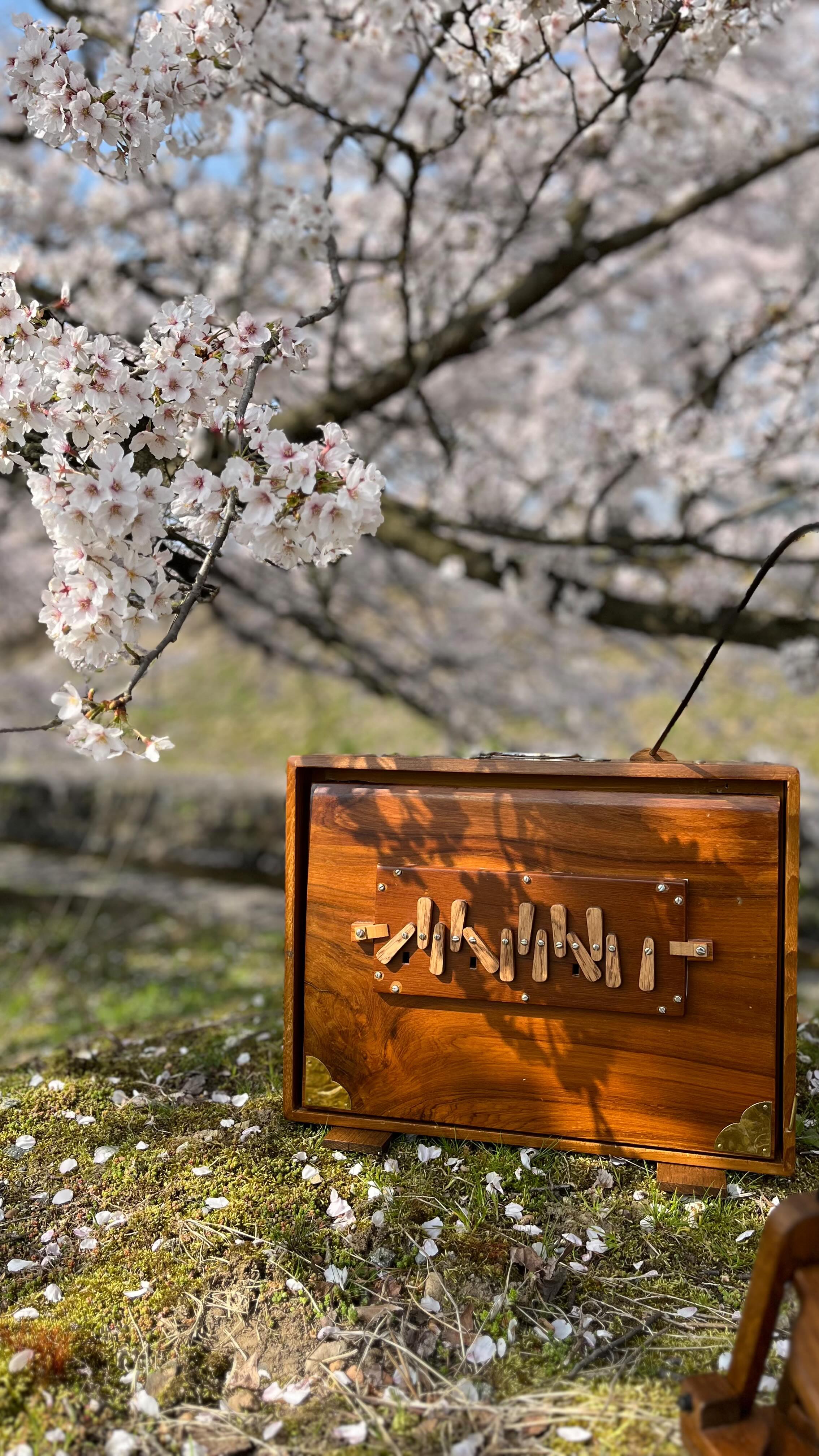 Shruti Box Sounds (@shrutibox.sounds) • Facebook