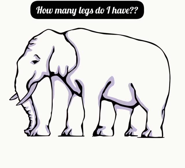 How many legs do i have???? #puzzles #puzzletime #puzzle #puzzlelover # ...