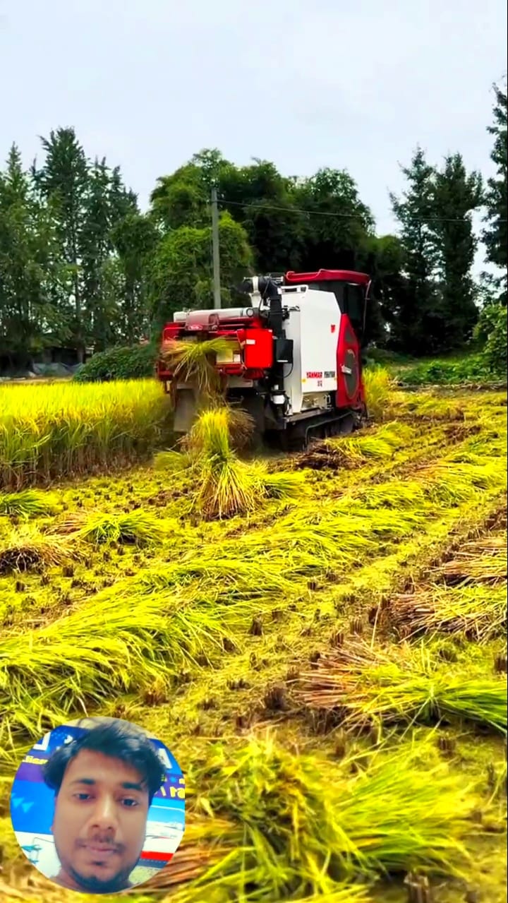 Yanmar dhaan kata machine 🔥 #yanmar #viral #agriculture #farmer # ...
