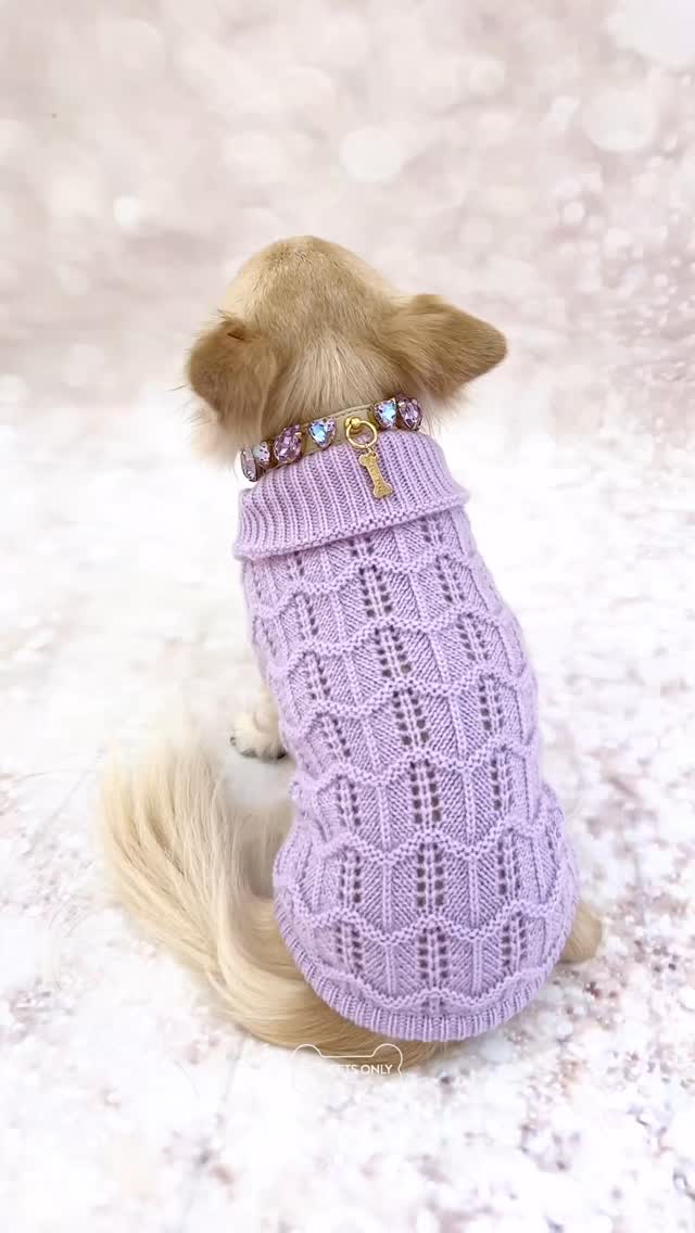 For Pets Only (@forpetsonly) - Photos | Facebook