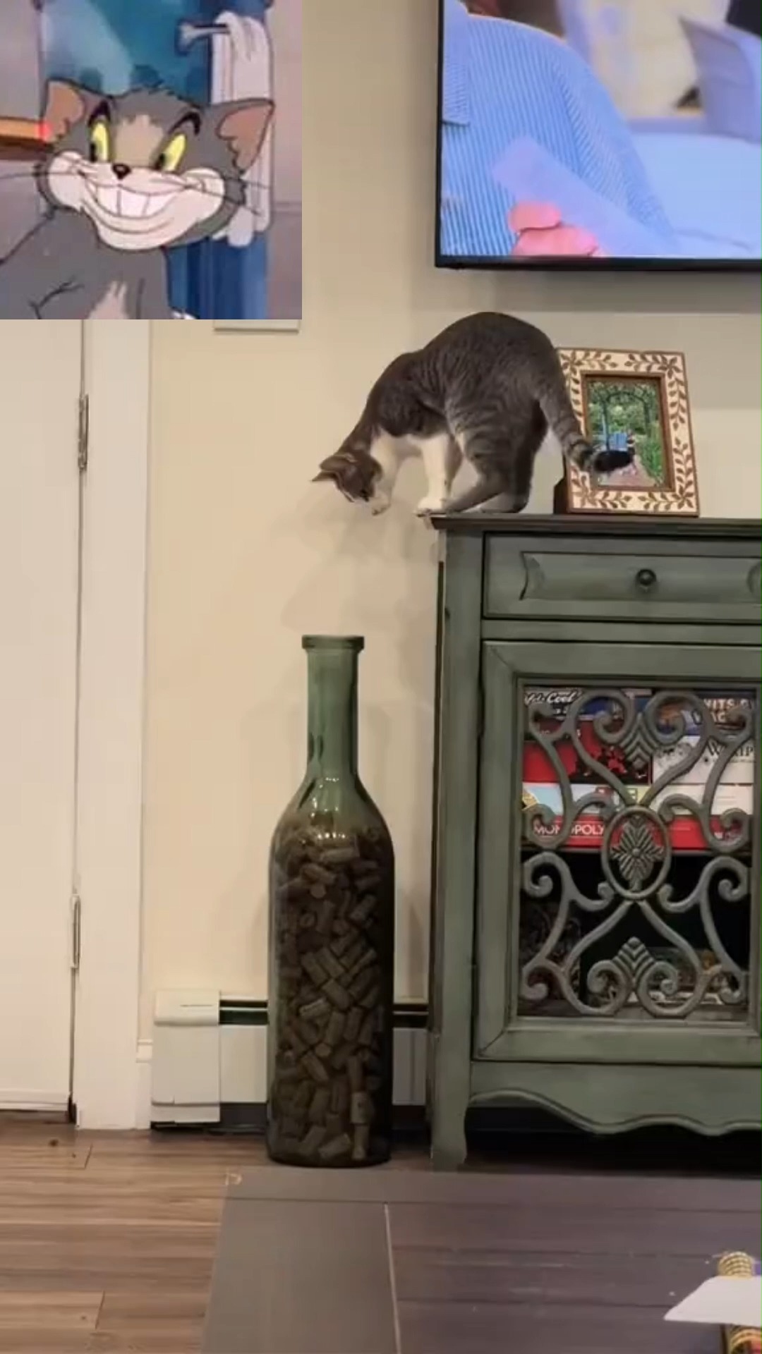 Stuck in the Vase: A Kitten’s Clumsy Moment! 😂😹#catlife #cat #cutecat # ...