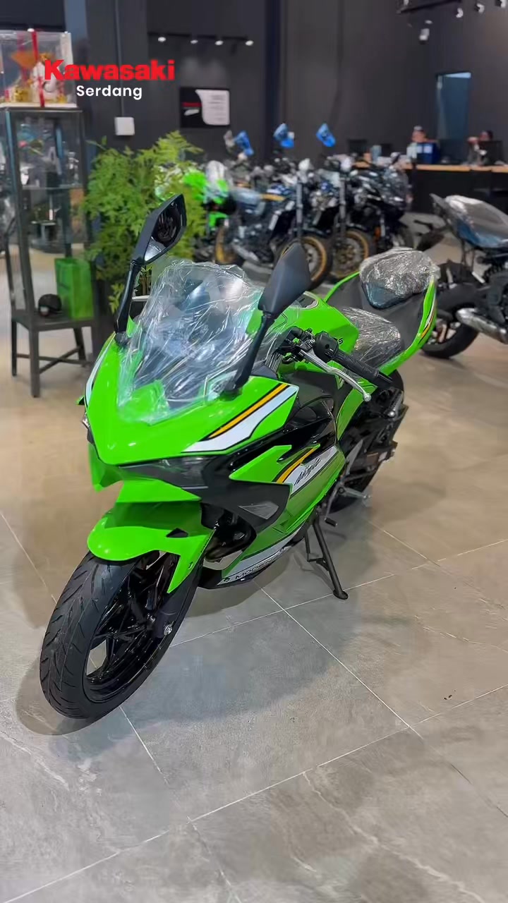 Kawasaki Ninja 500 SE — Sharp supersport styling with a confidence